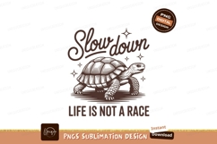 Tortoise slow down life race image Product Image 1