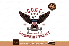 Eagle emblem government efficiency stars Product Image 1