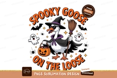 Goose witch trick treat cape broom Product Image 1