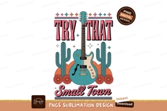 Turquoise guitar desert cacti flowers image Product Image 1