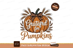 Orange pumpkin leopard bow wheat image Product Image 1
