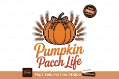 Orange pumpkin leopard bow wheat image Product Image 1