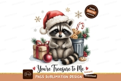 Raccoon Christmas Hat Cookies Gift image Product Image 1