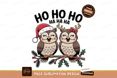 Cute Christmas Owls Festive Holiday Illustration Product Image 1
