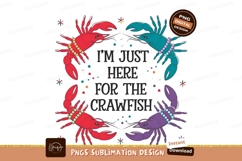 Crawfish Festival Humor Colorful Vector Graphic Product Image 1