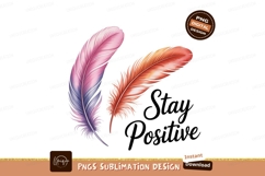 Pink purple orange feathers positive image Product Image 1