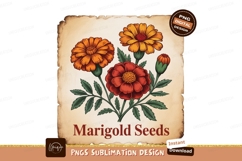 Orange red flowers botanical illustration marigold Product Image 1