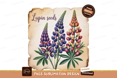 Lupine flowers botanical illustration purple Product Image 1