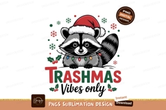 Raccoon wearing Santa hat and Christmas lights image Product Image 1