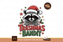 Raccoon wearing Santa hat with Christmas lights image Product Image 1