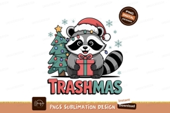 Raccoon Christmas gift festive lights image Product Image 1