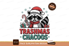 Festive raccoon wearing santa hat and scarf christmas Product Image 1