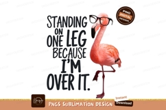 Flamingo With Glasses Over It Illustration Product Image 1