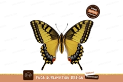 Eastern Swallowtail Butterfly On White Background Product Image 1