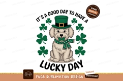St Patricks Day Dog Wearing Hat Product Image 1