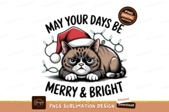 Grumpy Christmas Cat Wearing Santa Hat Product Image 1