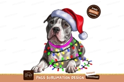 Pitbull Christmas Lights Sublimation Png Product Image 1