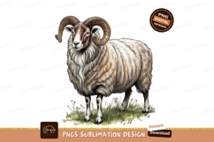 Watercolor Ram Illustration With Horns Sublimation Png Product Image 1