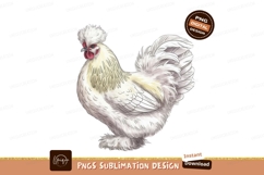 White Silkie Chicken Illustration Sublimation Png Product Image 1
