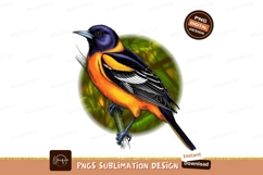 Baltimore Oriole Bird Illustration Perched Branch Product Image 1