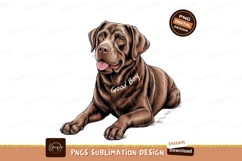 Chocolate Labrador Resting Isolated Sublimation Png Product Image 1