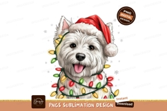 Dog with santa hat and lights sublimation png Product Image 1