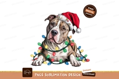 Pitbull dog with christmas lights sublimation png Product Image 1
