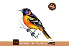 Oriole perched on branch sublimation png Product Image 1