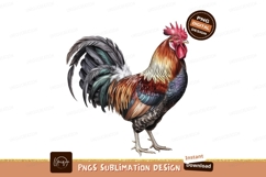 Colorful rooster isolated on transparent background Product Image 1