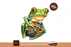 Green treefrog sublimation png Product Image 1