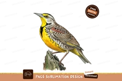 Meadowlark perched on branch sublimation png Product Image 1