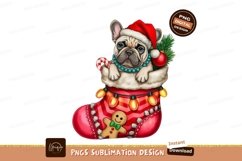 Dog in christmas stocking isolated on transparent background Product Image 1