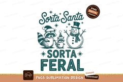 Raccoon and snowman santa sublimation png Product Image 1