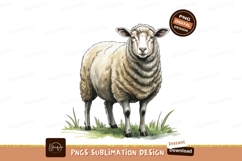 Standing sheep in grass sublimation png Product Image 1