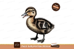 Cute duckling isolated on transparent background sublimation Product Image 1