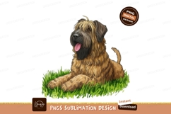 Briard dog lying in grass sublimation png Product Image 1
