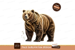 Brown grizzly bear isolated on transparent background sublim Product Image 1
