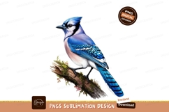 Blue jay on branch isolated on transparent background sublim Product Image 1