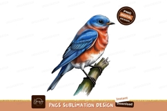 Bluebird perched on branch sublimation png Product Image 1