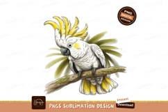 Cockatoo on branch sublimation png Product Image 1