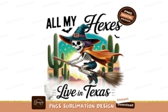 Skeleton witch flies over desert landscape broom flying Product Image 1