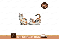 Tortoiseshell cats playful stretching sitting calico Product Image 1