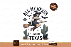 Witch flying broom desert night image Product Image 1
