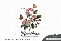 May hawthorn flower sublimation png design Product Image 1
