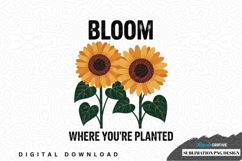 Bloom where you're planted sunflower sublimation png design Product Image 1