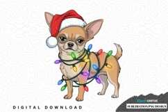 Christmas chihuahua sublimation png design Product Image 1