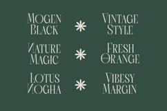 Scarfi Modern - All Caps Serif Display Font Product Image 12