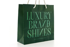 Scarfi Modern - All Caps Serif Display Font Product Image 15