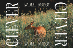 Scarfi Modern - All Caps Serif Display Font Product Image 16