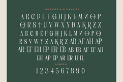 Scarfi Modern - All Caps Serif Display Font Product Image 18